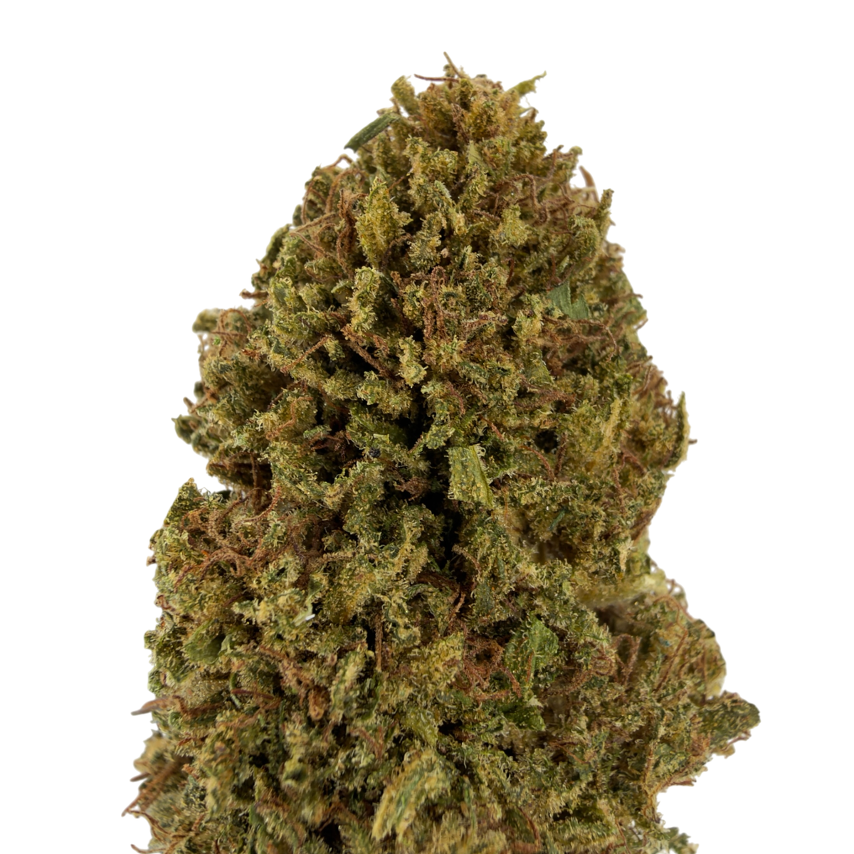 SUVER HAZE - FLEUR DE CBD BIO