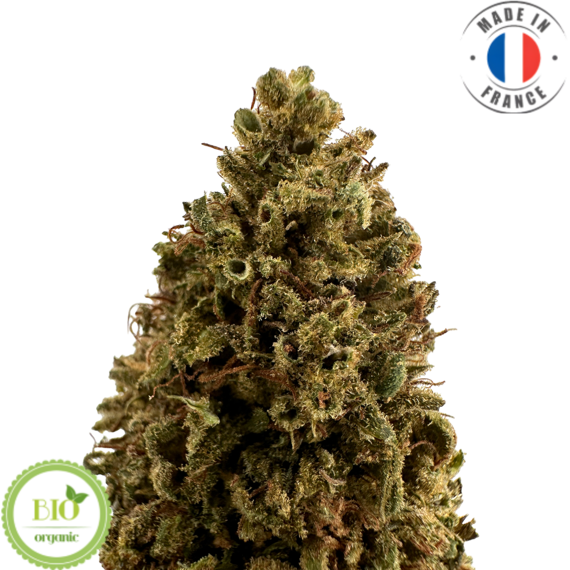 SUVER HAZE - Fleur de CBD bio pas chère (Amour de Chanvre)