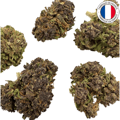 VANILLA KUSH - Petite fleur de CBD bio (Amour de Chanvre)