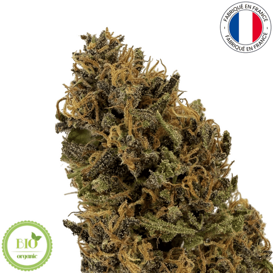 White Widow - Fleur de CBD bio (Amour de Chanvre)