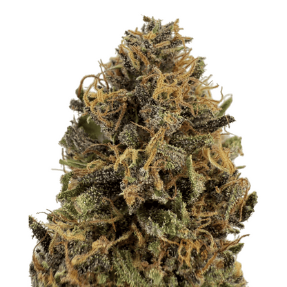 WHITE WIDOW - FLEUR DE CBD BIO