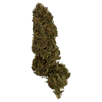 WHITE WIDOW - FLEUR DE CBD BIO