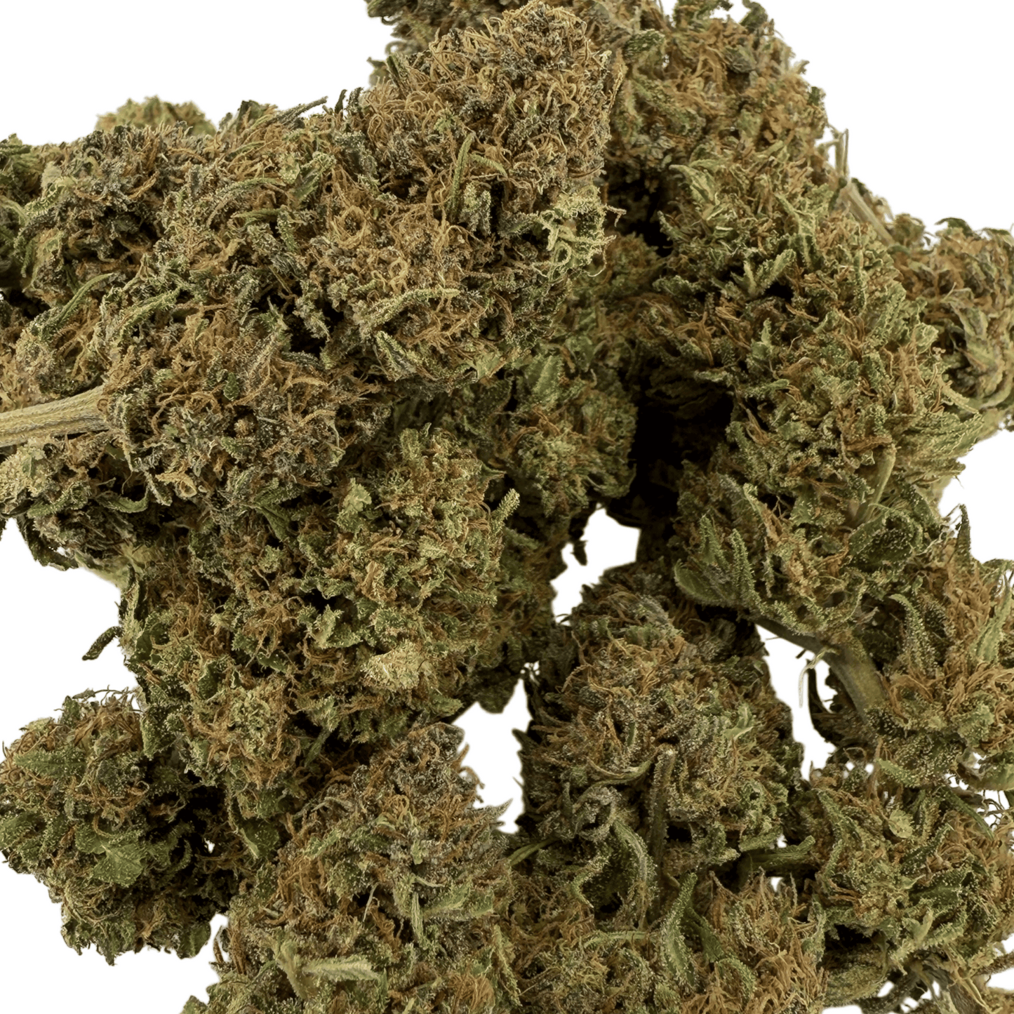 WHITE WIDOW - FLEUR DE CBD BIO